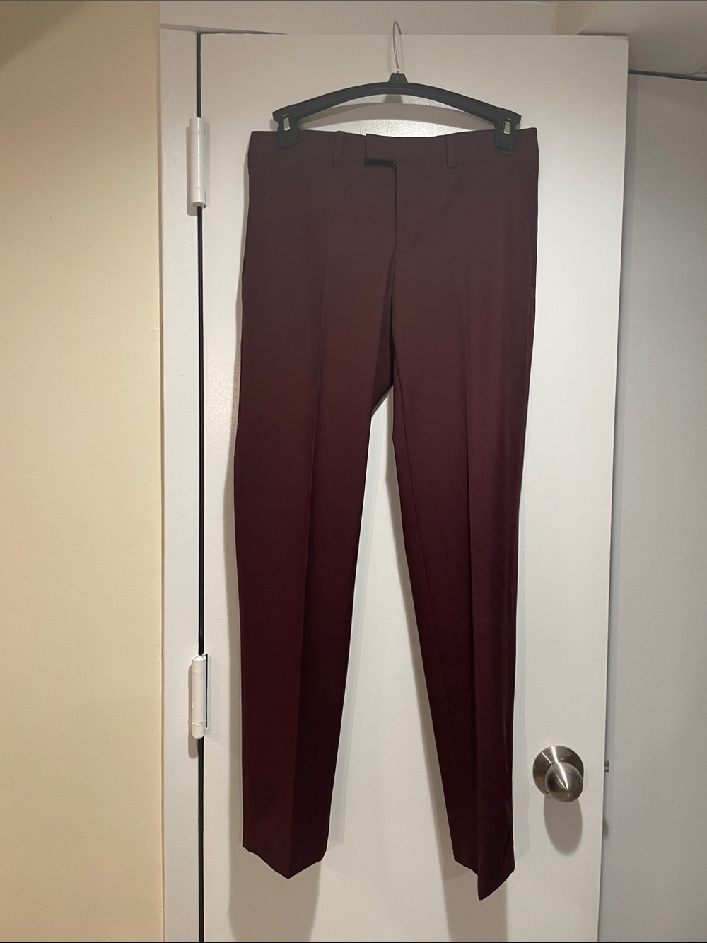 Zara Woman Slim Dress Pants in Burgundy